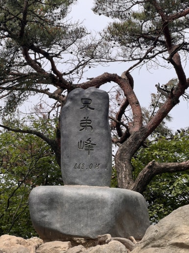미라클 케이크 이미지