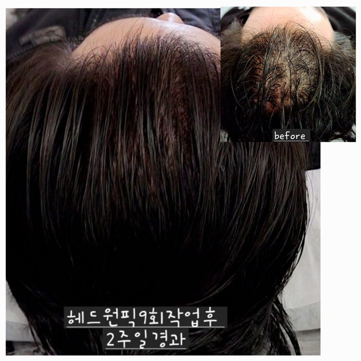 릿따 스타일 이미지