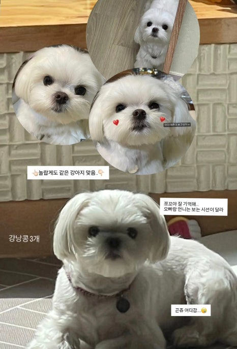 꿈꾸는니들공방 이미지