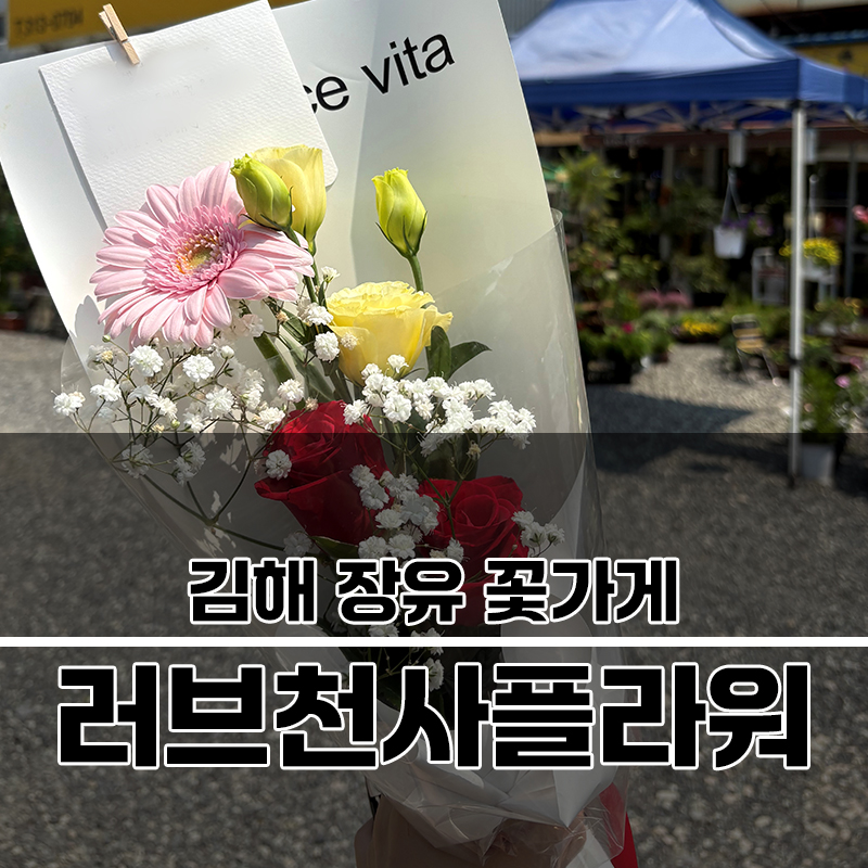 천사꽃플라워 이미지