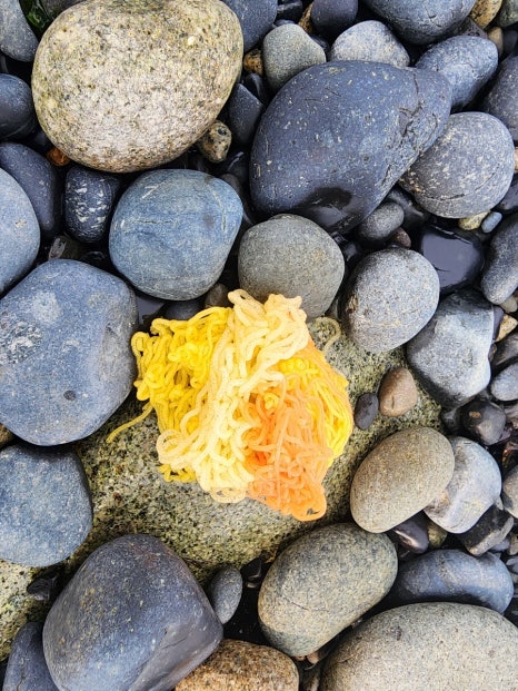 안도마을 협동조합(안도 기러기 캠핑장) 이미지