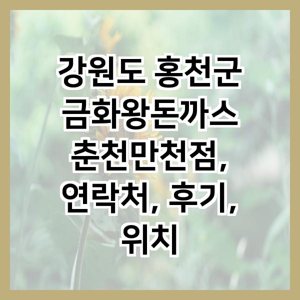 금화왕돈까스춘천 이미지