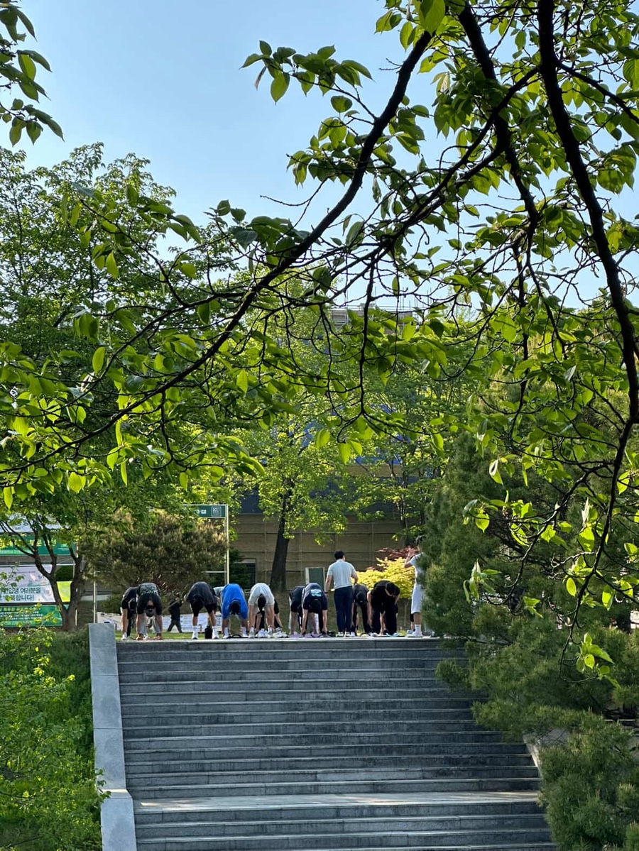 임소초 이미지