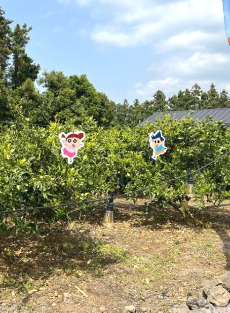 르벙쓸레브 이미지