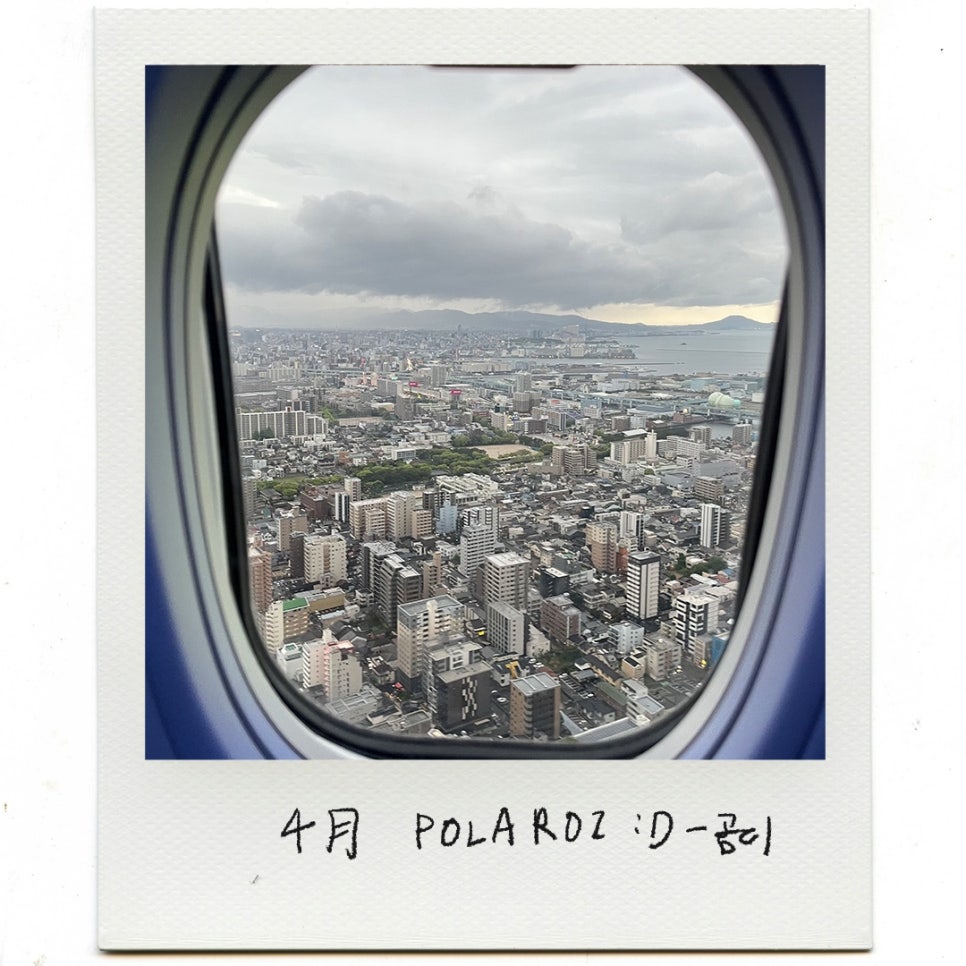 달곰디 이미지