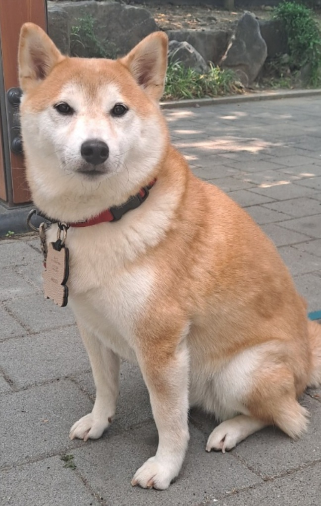 성민이발소 이미지