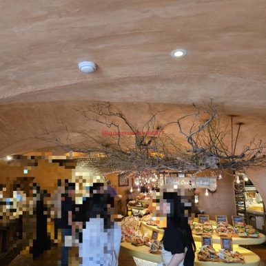 디무무 이미지