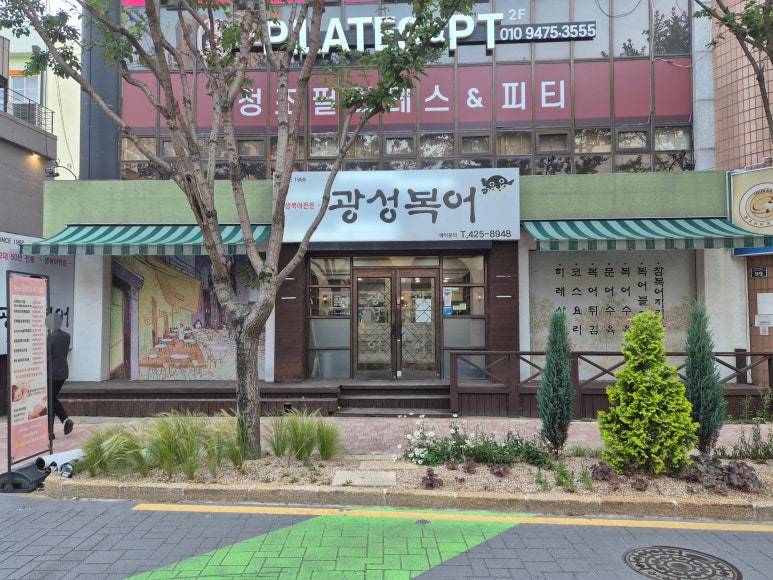 광성복어 이미지