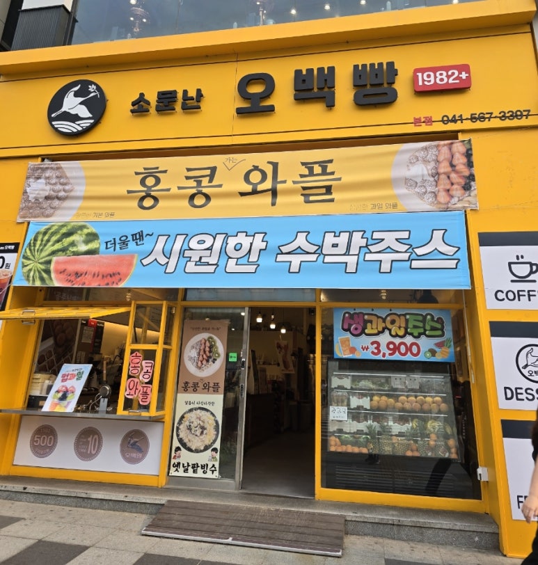 소문난오백빵 이미지
