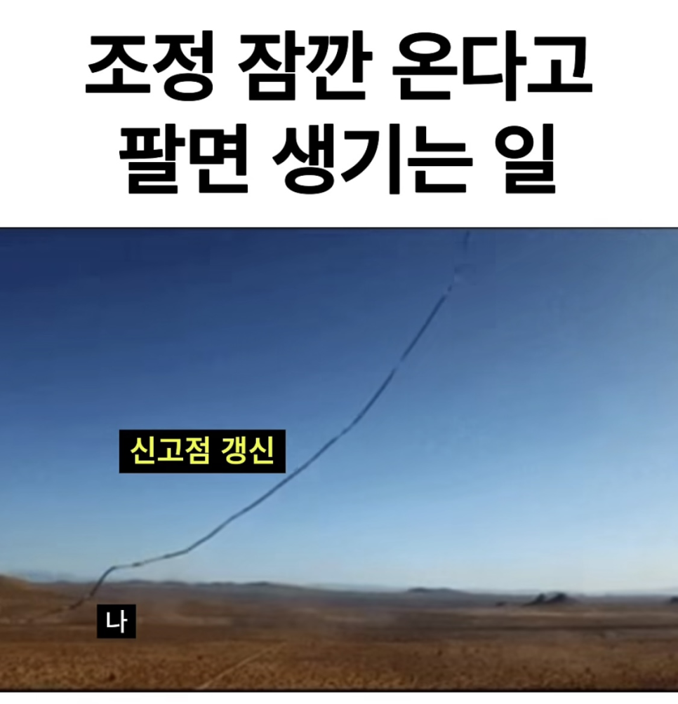 비엔씨코퍼레이션 이미지