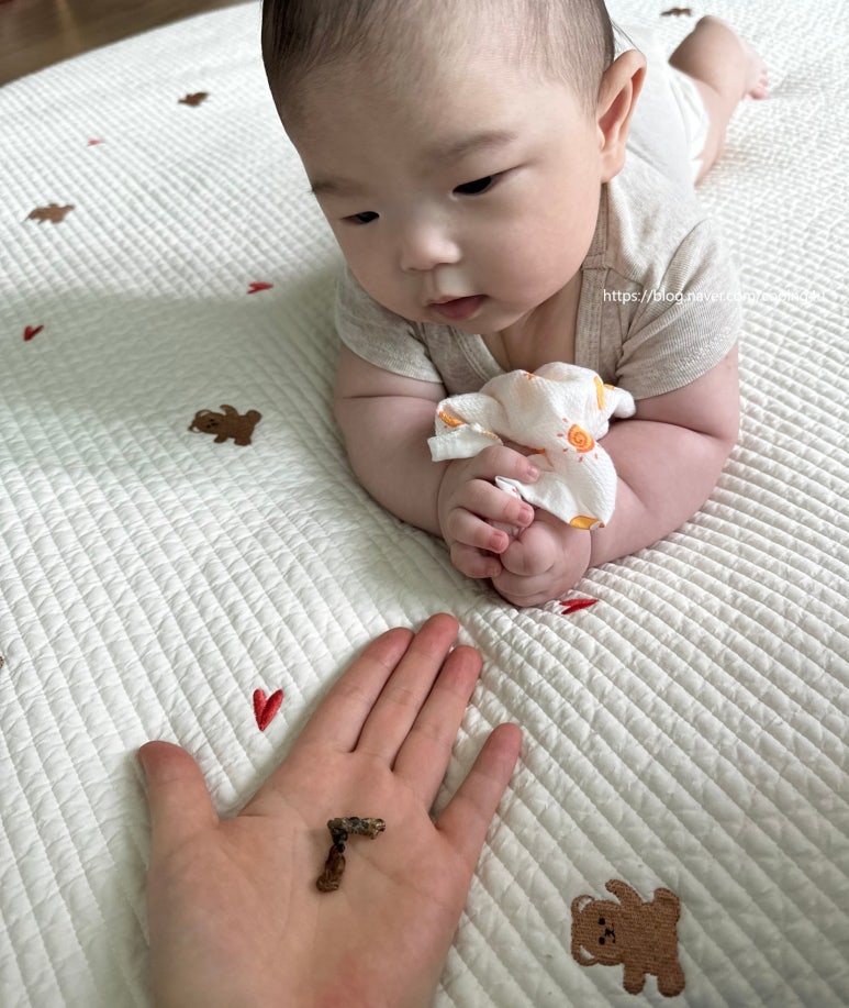 다새김 이미지