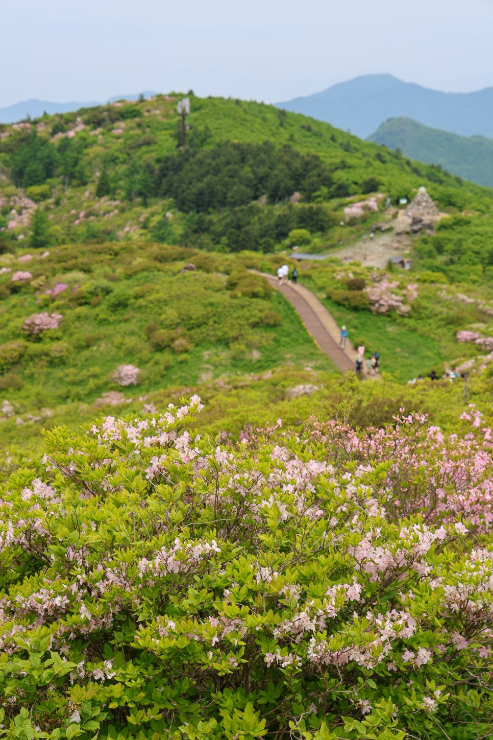 지리산 노고단 철쭉 등산코스 성삼재휴게소 간단 왕복 코스 : 네이버 블로그