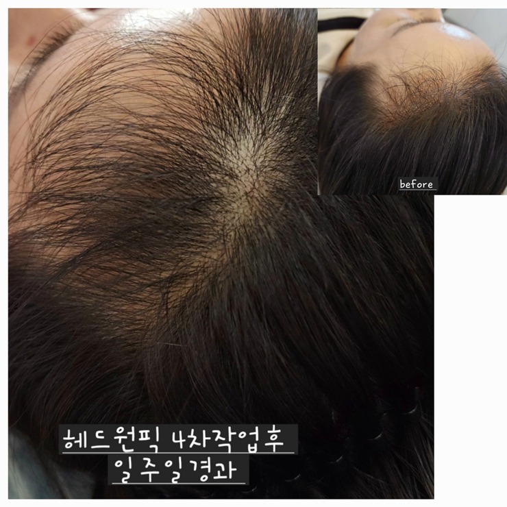 릿따 스타일 이미지