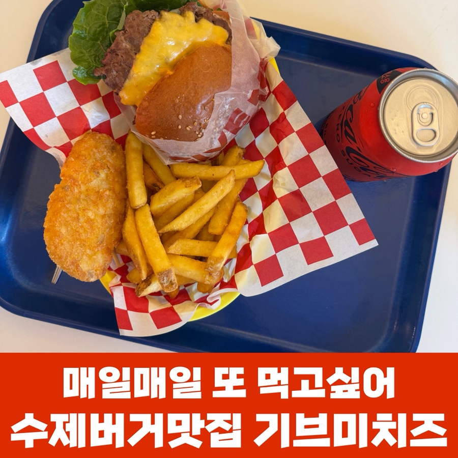 기브미치즈 이미지