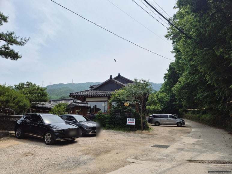 그리네 사바나 이미지