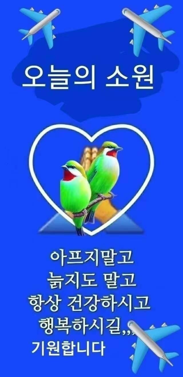 수지상사 이미지
