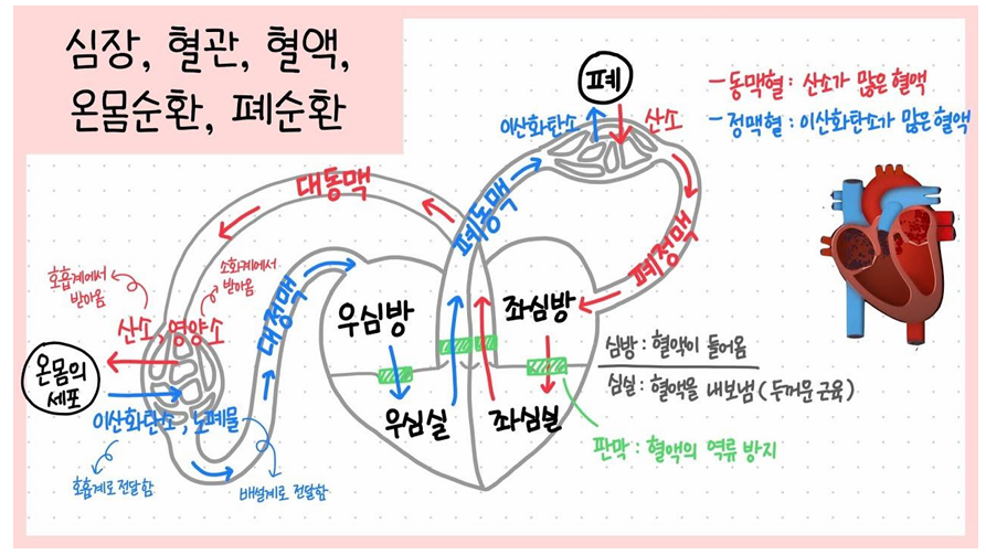 바디엔지니어스 이미지
