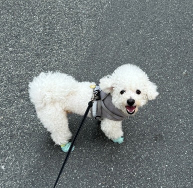 우정식품 이미지