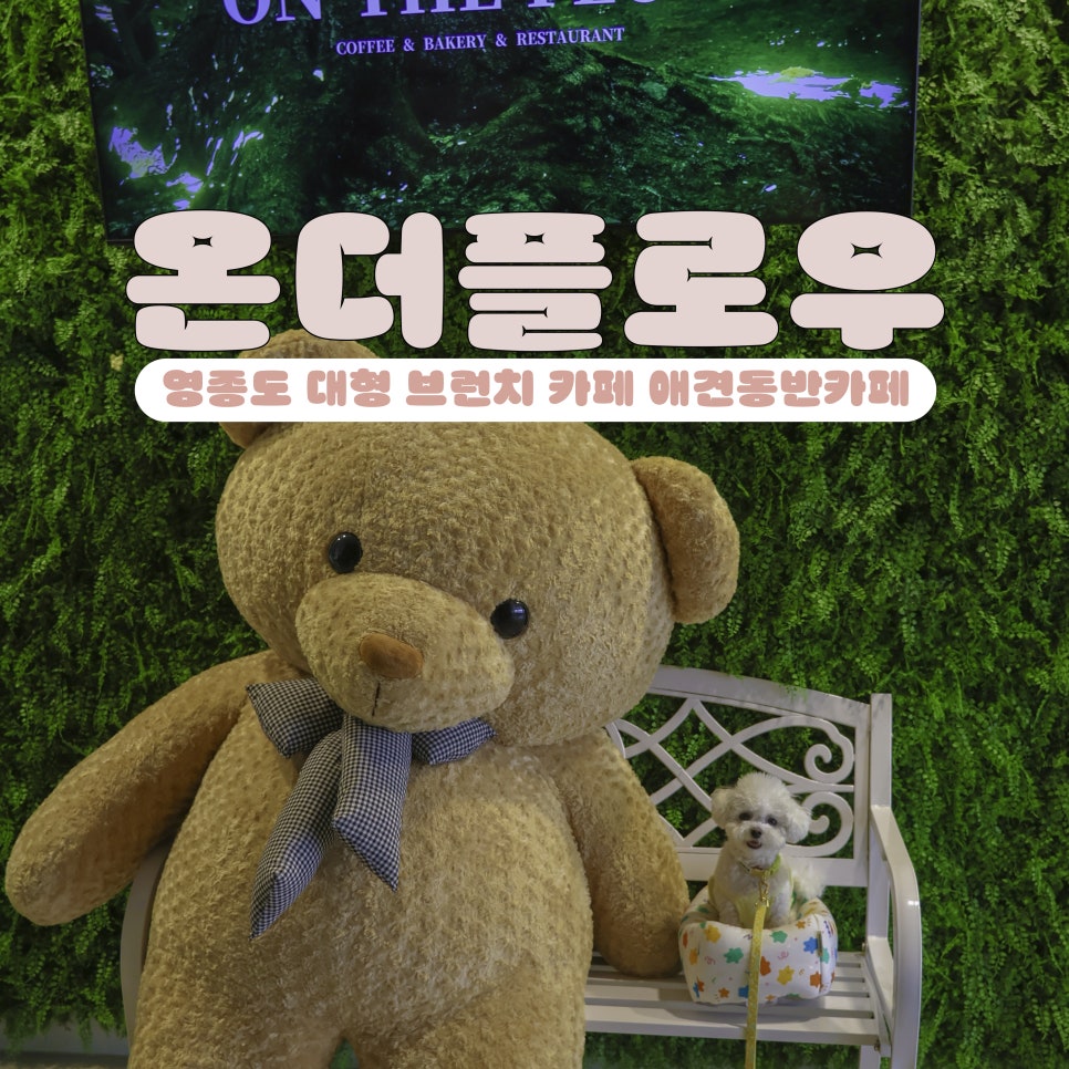 온더 이미지