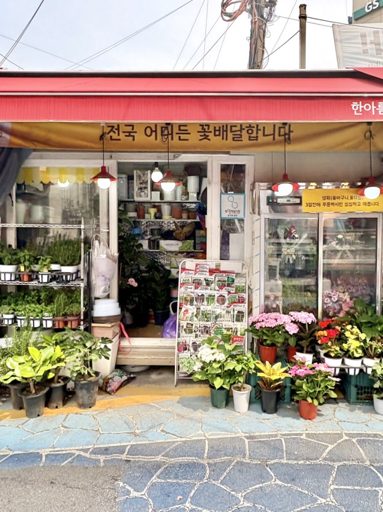 화양꽃집 이미지