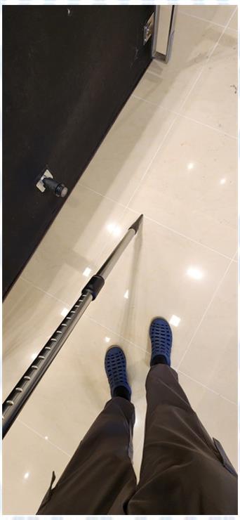태양카페트 이미지
