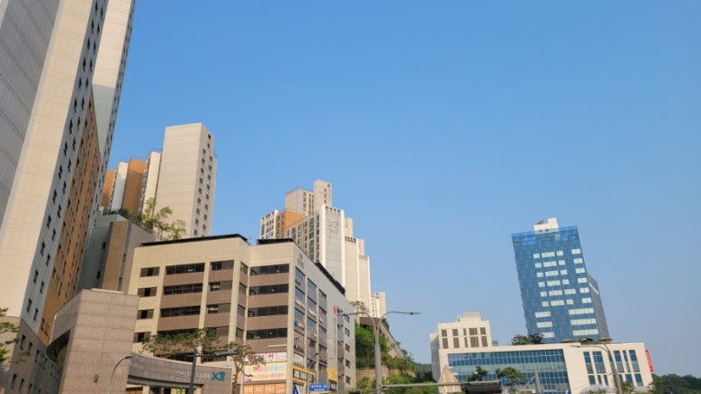 주간식당 이미지