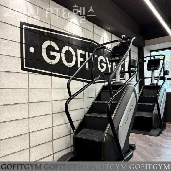 고핏 이미지