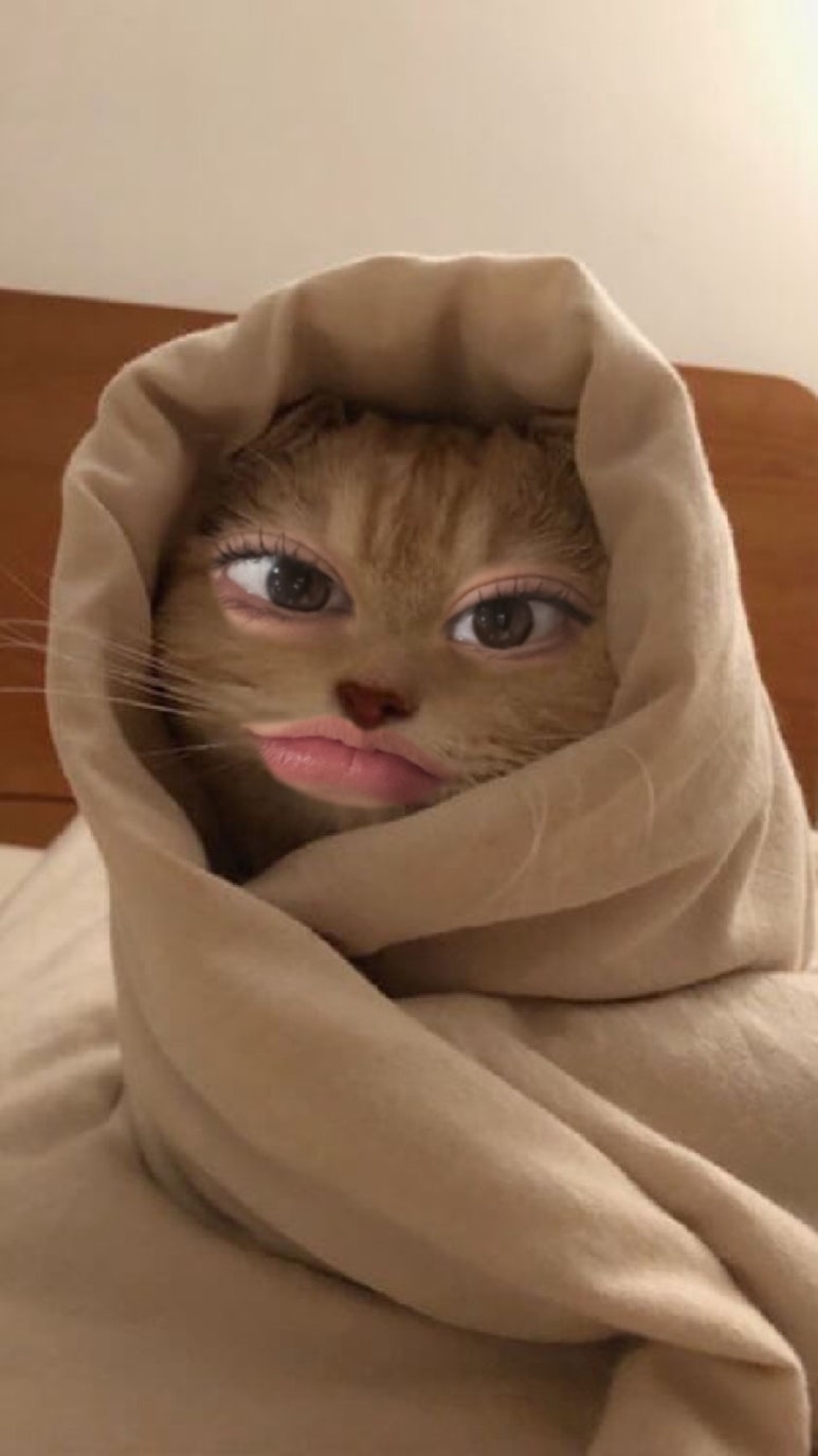 안아 이미지