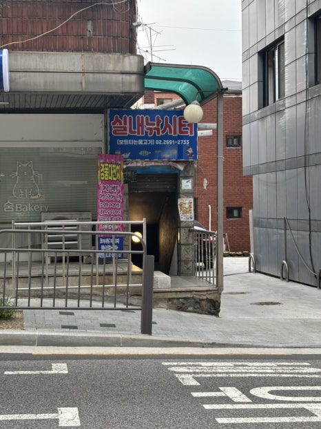 보드타는물고기 이미지