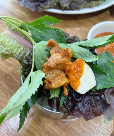 제주통도야지 이미지