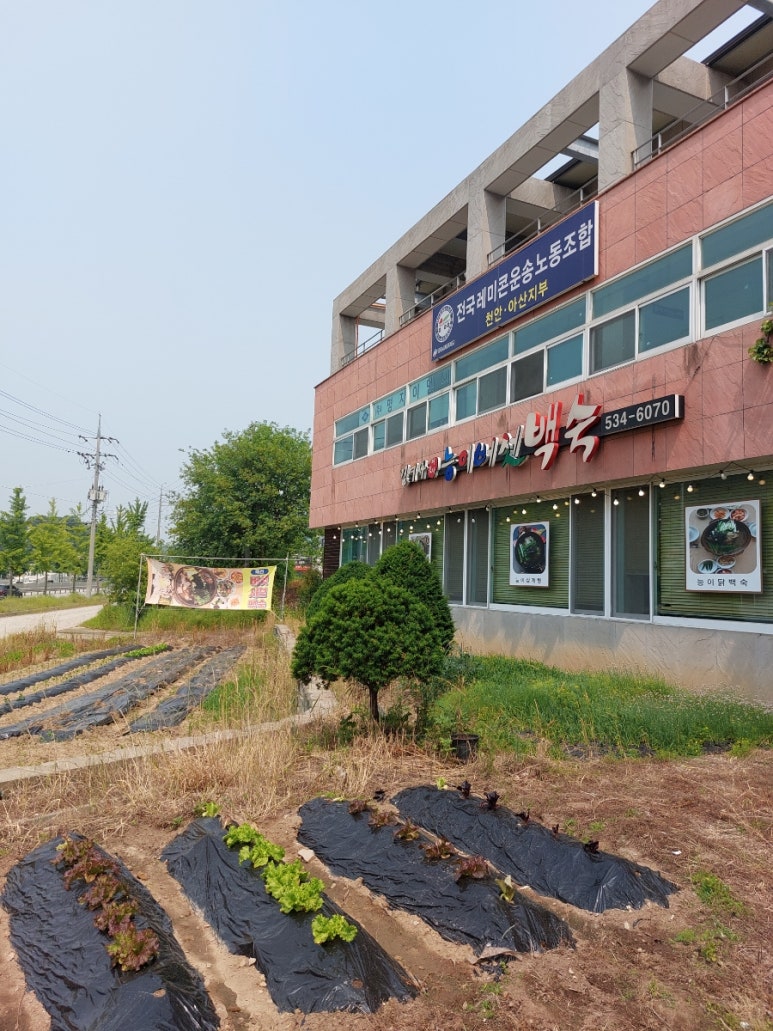 김여사능이버섯백숙 이미지