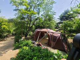 숲속의 정원 캠핑장 이미지