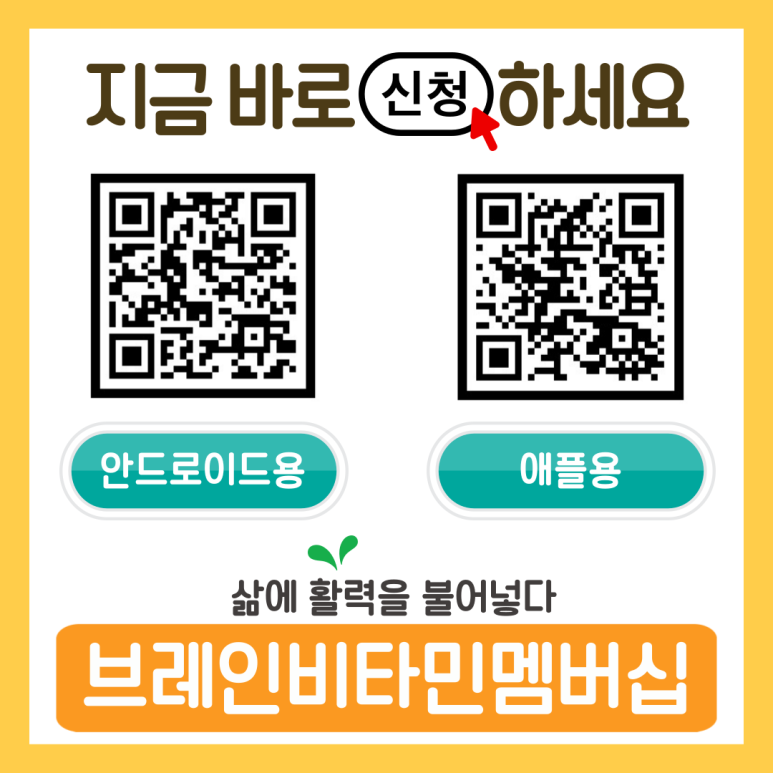 브레인코드 이미지