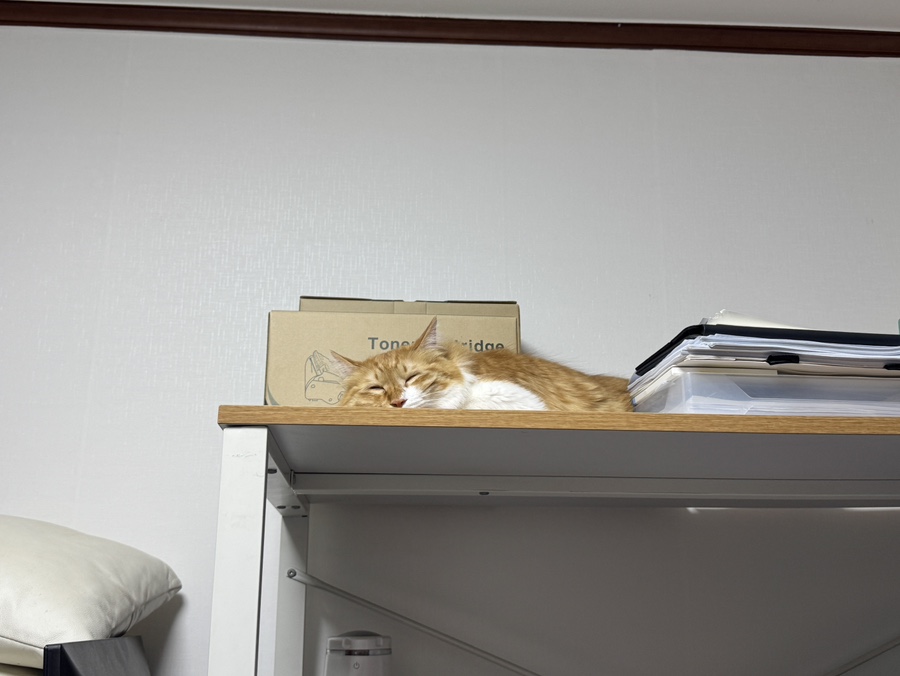 마미재봉틀 이미지