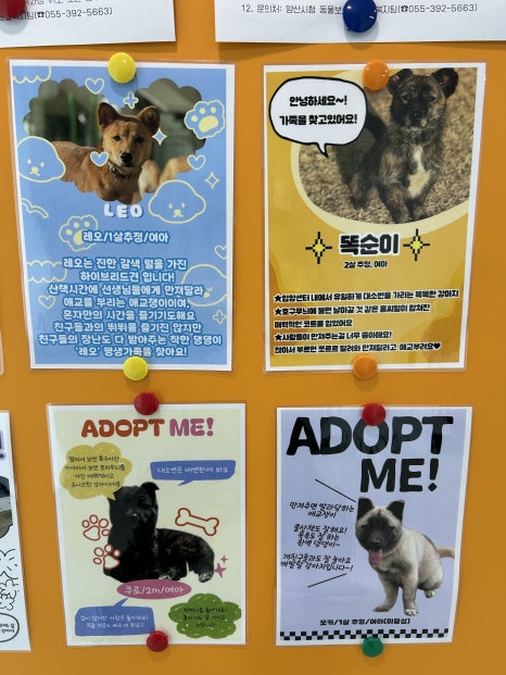 양산시 반려동물지원센터 이미지