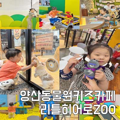 리틀히어로 ZOO 이미지