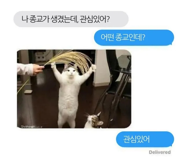 해가 이미지