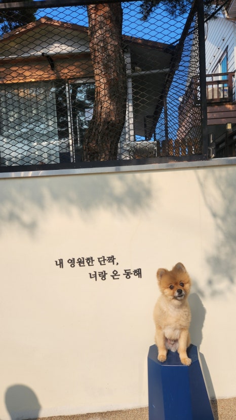 너랑온 이미지