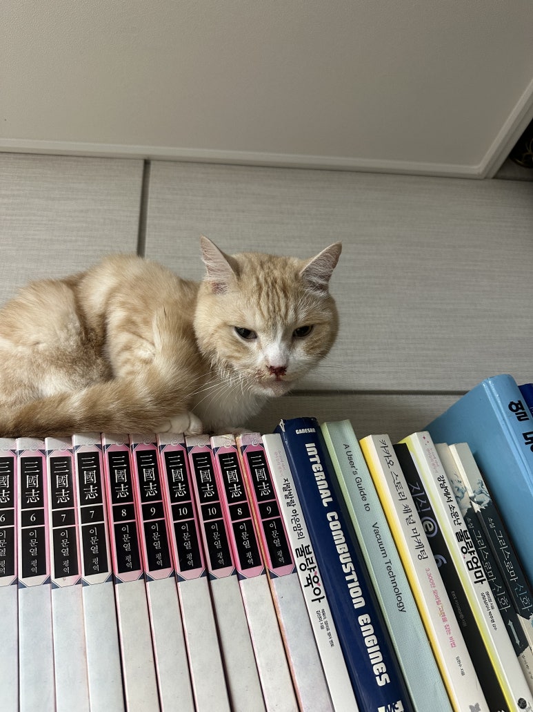 두둥 이미지