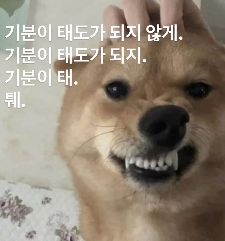 수영가 돼지국밥 이미지