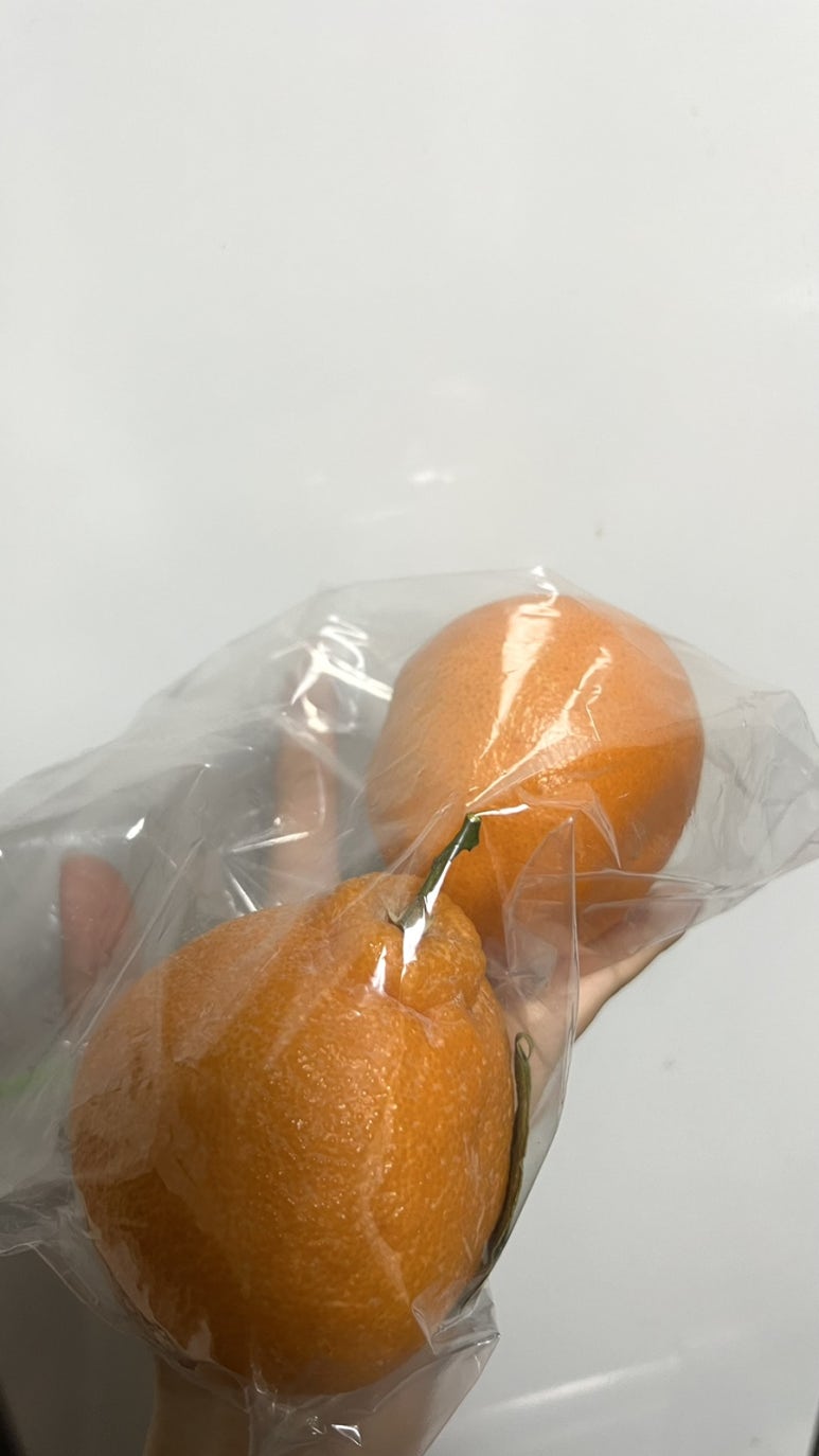 스윗해_제주 이미지