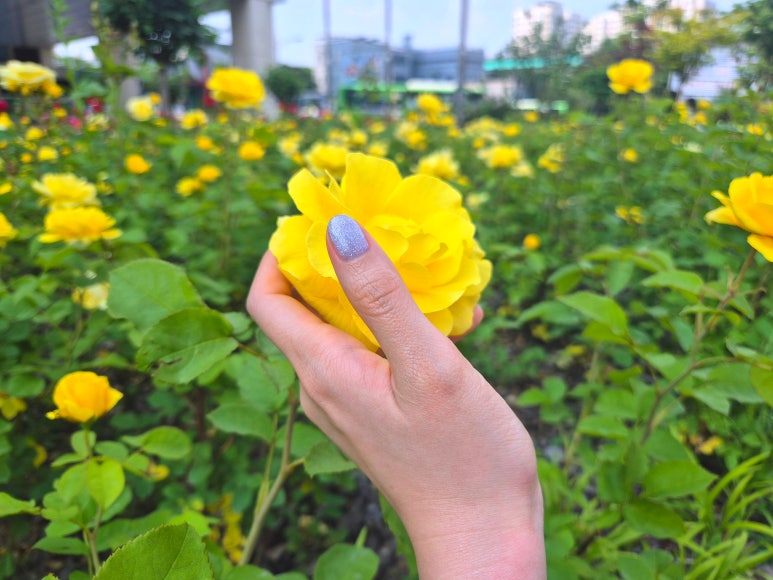 유블랑네일 이미지