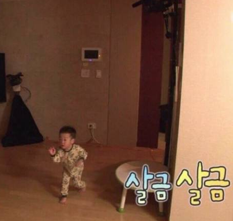 대벌 이미지