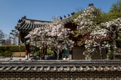연희궁 이미지