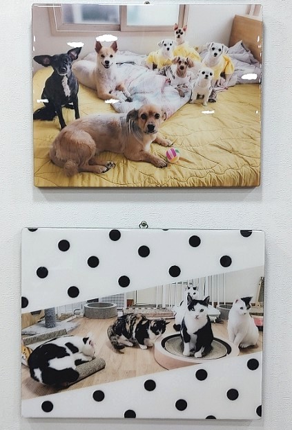찐분식 이미지