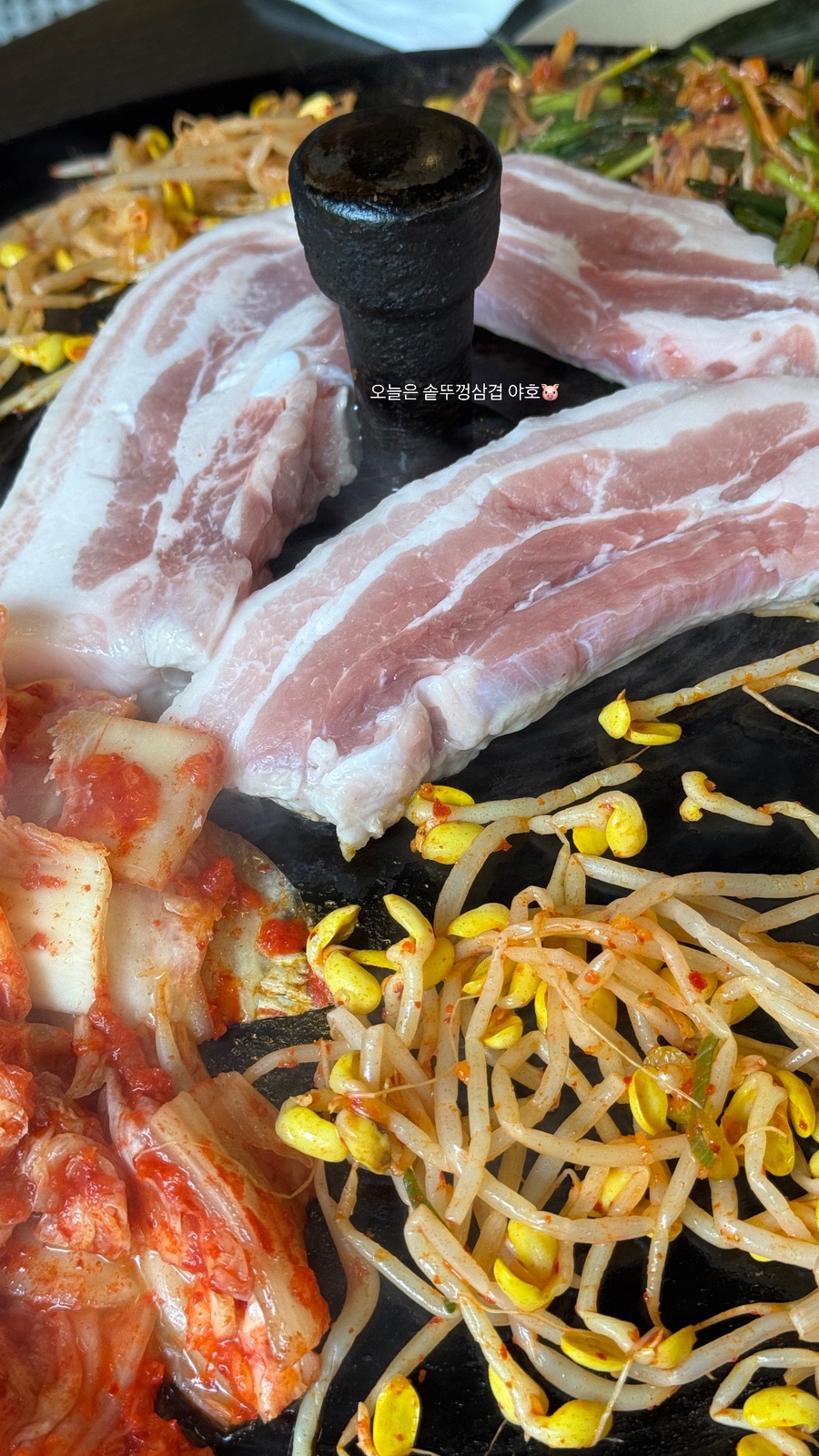 베이지보울 이미지