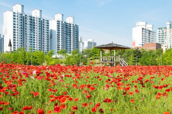 꽃길따라농장 이미지