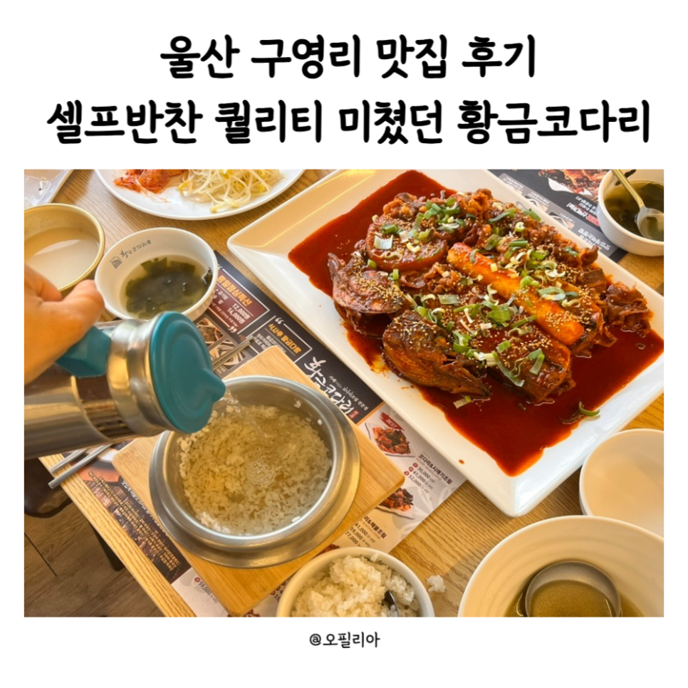 황금코다리 구영점 이미지