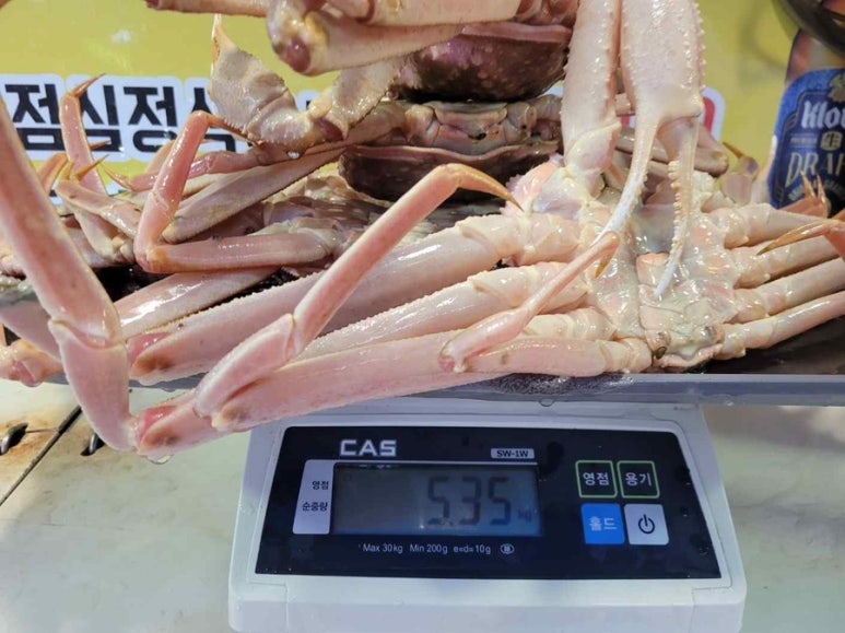 오태호킹크랩 이미지