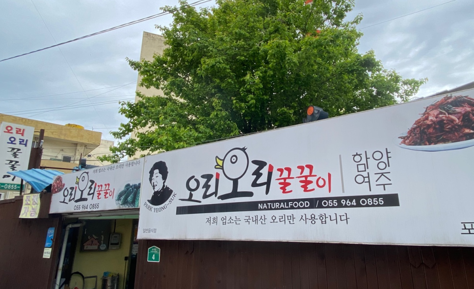 오리와꿀꿀이 이미지
